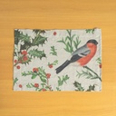 Placemats WINTER BULLFINCH / 2-pack, 35x50 cm,  Natural