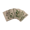 Napkins FINE HERBS / 6-pack MIX; 45x45cm