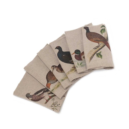 [3002SU-FBP6] Napkins FOREST BIRDS; 45x45cm; 6 un. /pack. MIX