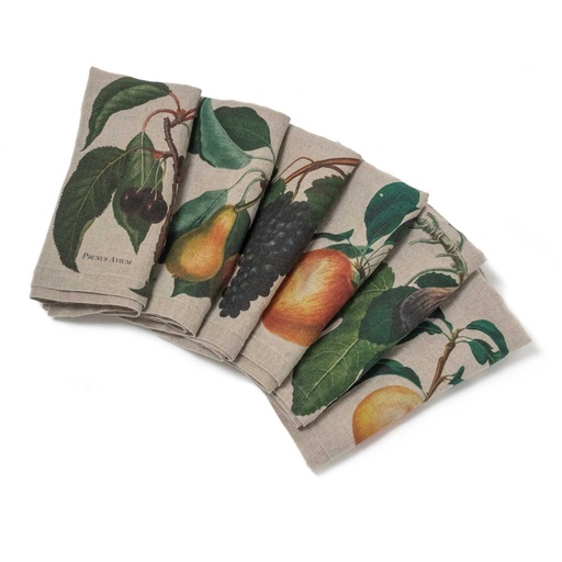 [3002SU-FGP6] Napkins FRUITS; 45x45cm; 6 un./pack. MIX