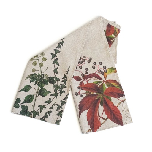 [6001M-IC] Kitchen Towels IVY & CREEPER / 2-pack; 46x68cm