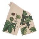 Kitchen Towels OAK & HORSE CHESTNUT / 2-pack; 46x68cm