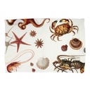 Placemat SEA ANIMALS W / 2-pack; 35x50cm