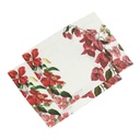Placemats CLIMBING FLOWERS /  2-pack; 35x50cm; White