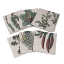 Napkins TREES CONIFERS / 6-pack MIX
