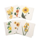 Napkins YELLOW FLOWERS Off White / 6-pack MIX