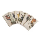 Napkins WOODLAND BIRDS / 6-pack MIX