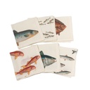 Napkins SEA FISH  Off-White / 6-pack MIX